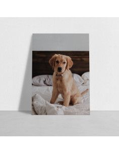 Alu Dibond - 40x30 cm