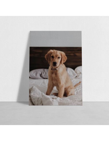 Alu Dibond - 60x40 cm