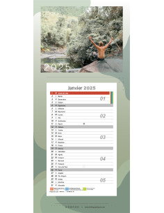 Calendrier MURAL fond cartoné