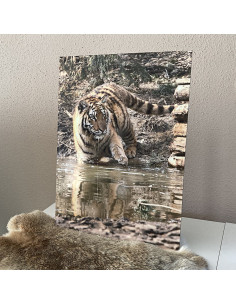 Photos sur Alu Dibond 2