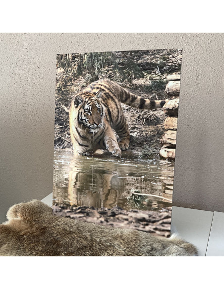 Photos sur Alu Dibond
