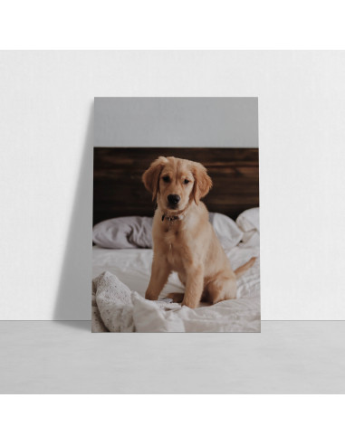 Photos sur Alu Dibond