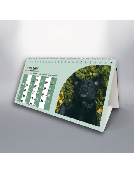 Calendrier Chevalet 10 par 21